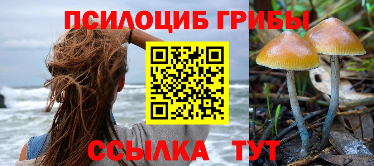 Псилоцибиновые грибы GOLDEN TEACHER Красногорск