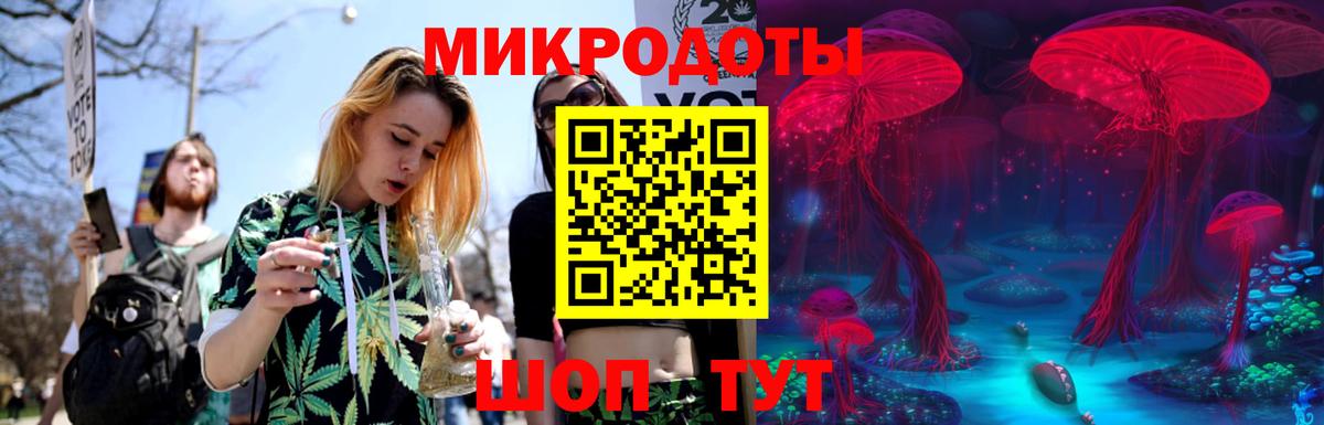Галлюциногенные грибы MAGIC MUSHROOMS  Вход с VPN  Красногорск 